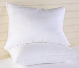Breakfast/Travel Size 2-Pack Premium EnduraLoft Pillow Made in USA by California Feather Company